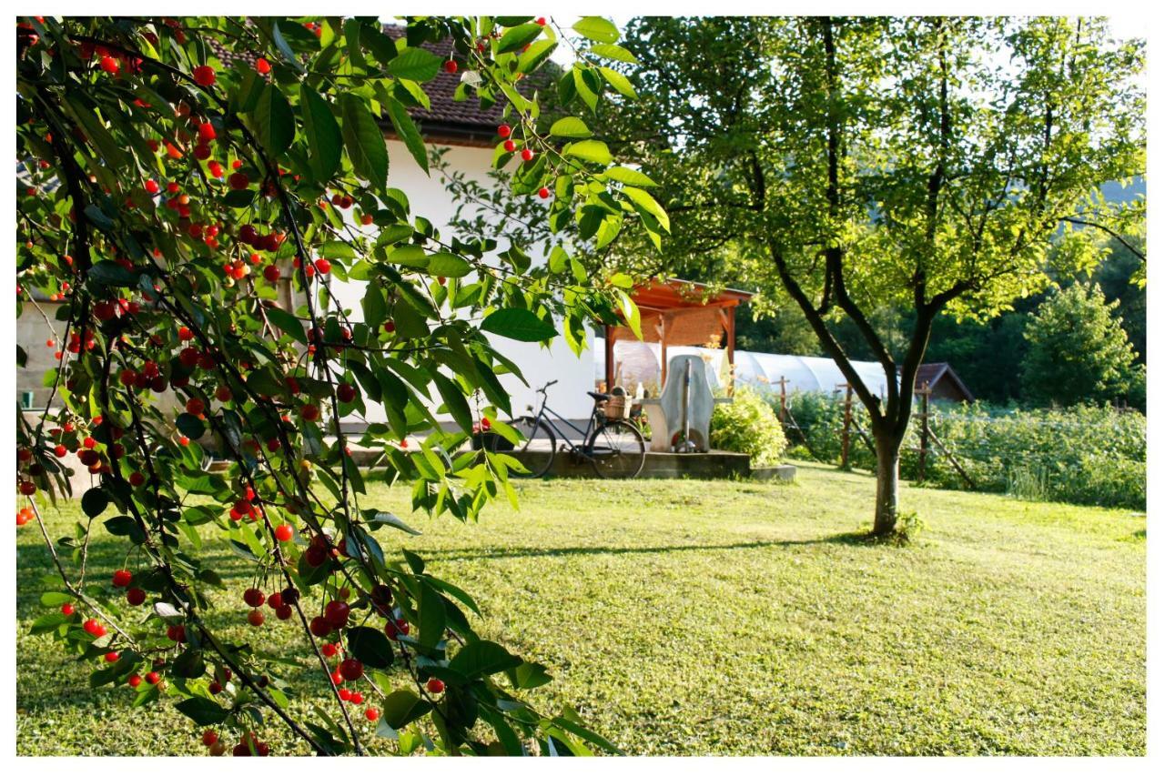 Holiday Residence Buric Вісоко Екстер'єр фото